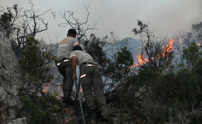 Yangın yine başladı Mersinlik köyü boşaltılıyor