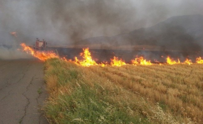 Yılmazköy - Kılıçaslan köyleri arasında yangın