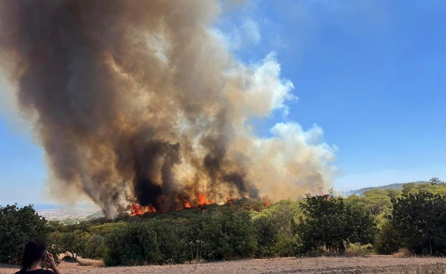 Ağıllar köyünün doğusunda yangın