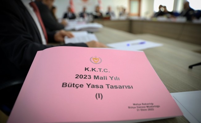 2023 bütçesinin komitedeki görüşmeleri yarın tamamlanıyor