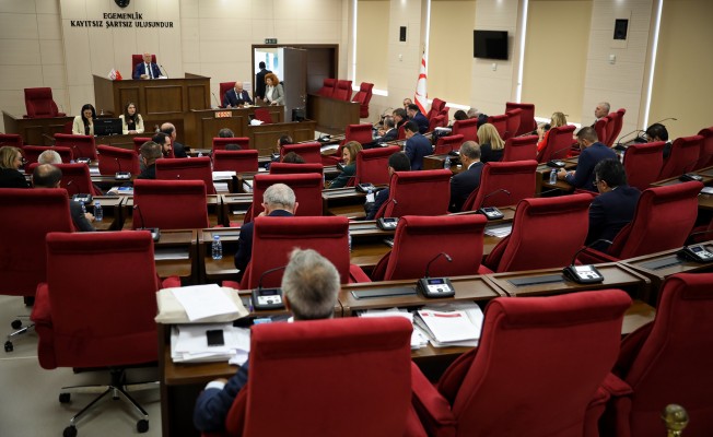 Meclis Genel Kurulu yasama ve denetim görevleriyle toplandı