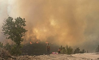 Limasol’a bağlı “Alasa” köyü bölgesinde çıkan yangının kontrolden çıktı